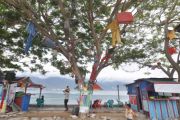 Manfaatkan sisa tsunami