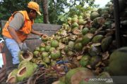 LIMBAH KELAPA MUDA