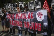 Aksi setop konsumsi daging anjing