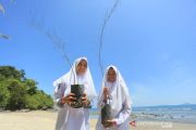 PENANAM CEMARA LAUT