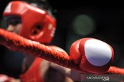 Fredrik beri kemenangan kedua bagi tim Indonesia di Asian Boxing