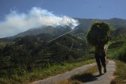 Kebakaran hutan gunung Merbabu