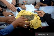 Rilis kasus Narkoba