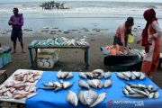 Stok ikan laut menurun