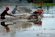 Balapan traktor sawah di Takalar