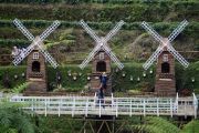 Wisata kebun teh Pagilaran