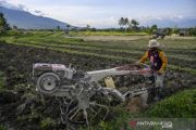 Relokasi anggaran untuk pertanian selama pandemi  COVID-19