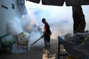Pengasapan untuk antisipasi penyebaran DBD