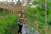 Sentrum Agraris Lotta Bantu Pengembangan Komoditas Pangan