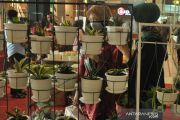 Festival tanaman hias di pusat perbelanjaan