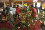 Festival tanaman hias di pusat perbelanjaan