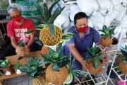 Tanaman kokedama