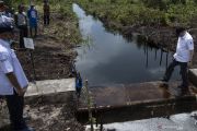 Kepala BRG Tinjau Sekat Kanal Lahan Gambut OKI