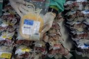 Donor plasma darah