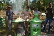 Biochar, sang emas hitam pengunci karbon dalam tanah