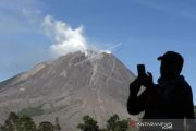 Aktivitas Gunung Sinabung Meningkat
