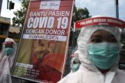 Kampanye donor konvalesen