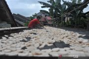 Produksi kerupuk kemplang menurun akibat musim hujan