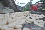 Produksi kerupuk kemplang menurun akibat musim hujan