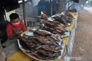 IKAN SALAI KHAS PALEMBANG