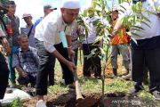 Gerakan Menanam Buah di Dumai