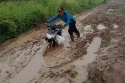 Jalan Rusak berlumpur di Desa Sumber Makmur, penghubung ke Desa Mulya Sari, Kecamatan Mesuji, Kabupaten Mesuji, Lampung