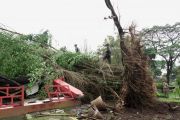 Dampak angin kencang di Purbalingga