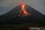Aktivitas Gunung Merapi