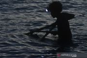 Nelayan Udang Kecil di Palu