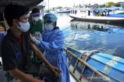Vaksinasi Untuk Warga Pesisir Dan Kepulauan
