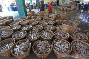 Produksi  Ikan Kering Meningkat