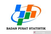 BPS: Perubahan KBLI bagian pemutakhiran klasifikasi kegiatan ekonomi