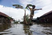 Banjir rob