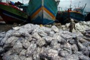 Harga ikan turun