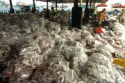 Harga ikan turun
