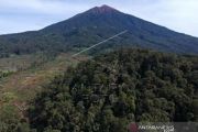 Perambahan Hutan Di Kaki Gunung Kerinci