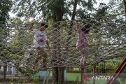 Pengembangan Wisata Taman Hutan Raya Kapopo
