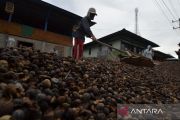 Petani keluhkan harga kopi tak stabil