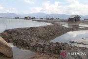 BMKG memperingatkan potensi banjir rob di pesisir NTB
