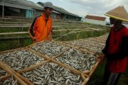 Harga ikan asin rebus naik