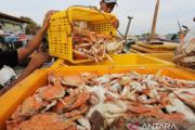 East Kalimantan's seafood exports gain global reach