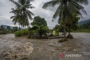 Dampak Banjir di Pakuli Utara Sigi