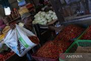 HARGA CABAI NAIK DRASTIS DI KENDARI