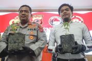 Pengungkapan Kasus Tanam Pohon Ganja