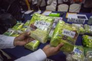 Polda Kepri Gagalkan Penyeludupan 26,6 Kg Sabu