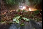 Jalan Poros Malino di Gowa rusak dan berlubang