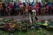 Tradisi Nyadran Gunung Rogokusumo
