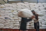 Bulog Jamin Tidak Ada Impor Beras Padang Maret 2023