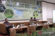 Indonesia unveils multi-business forestry plan in Vienna Summit