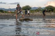 Pembuatan dam penangkap sedimen mangrove